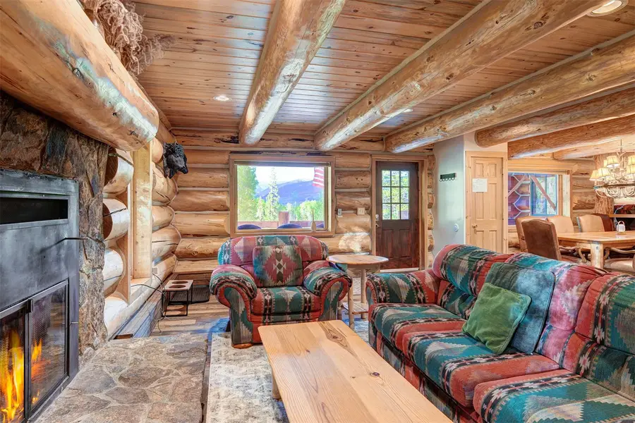 232 N Side Circle, Silverthorne, CO 80498 - #3