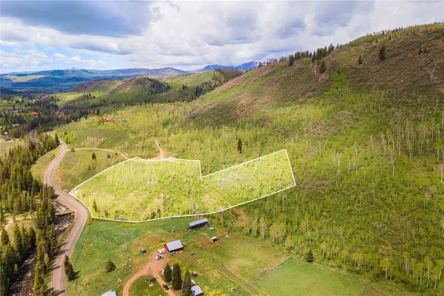 56255 Zirkel View Lane, Clark, CO 80428 - #2