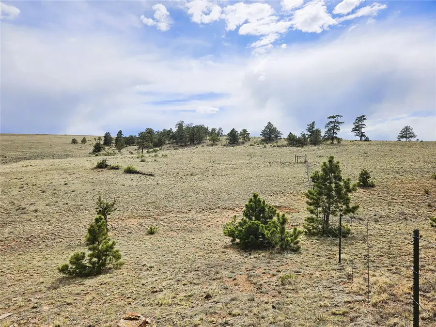 PCS#24131 Chato Road, Hartsel, CO 80449 - #2