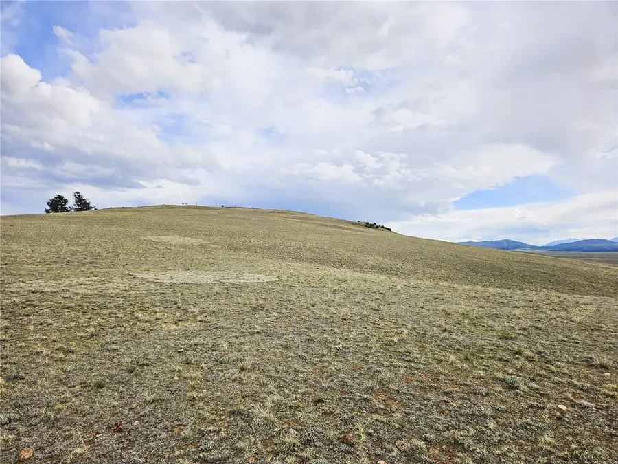 PCS#24139 Antero Road, Hartsel, CO 80449 - #3