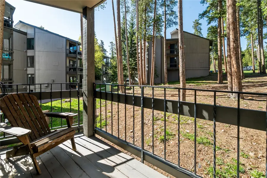 1173 Ski Hill Road #123, Breckenridge, CO 80424 - #3