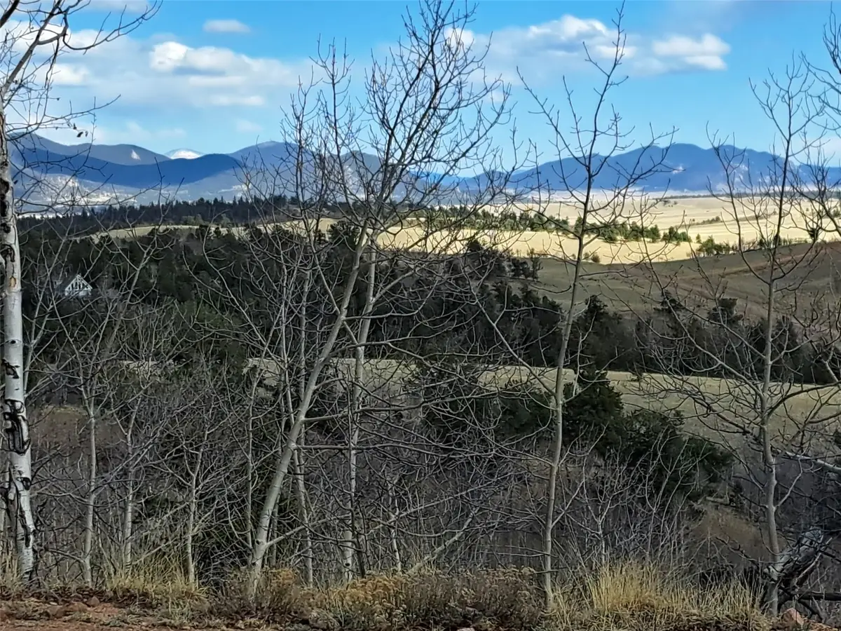 908 Raven Way, Como, CO 80432 - #1