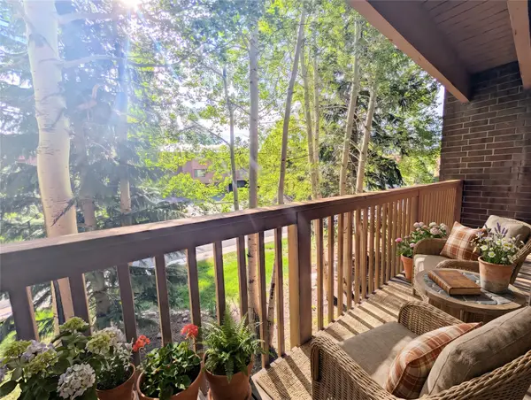 738 Lagoon Drive #D, Frisco, CO 80443