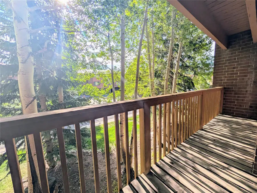 738 Lagoon Drive #D, Frisco, CO 80443 - #2