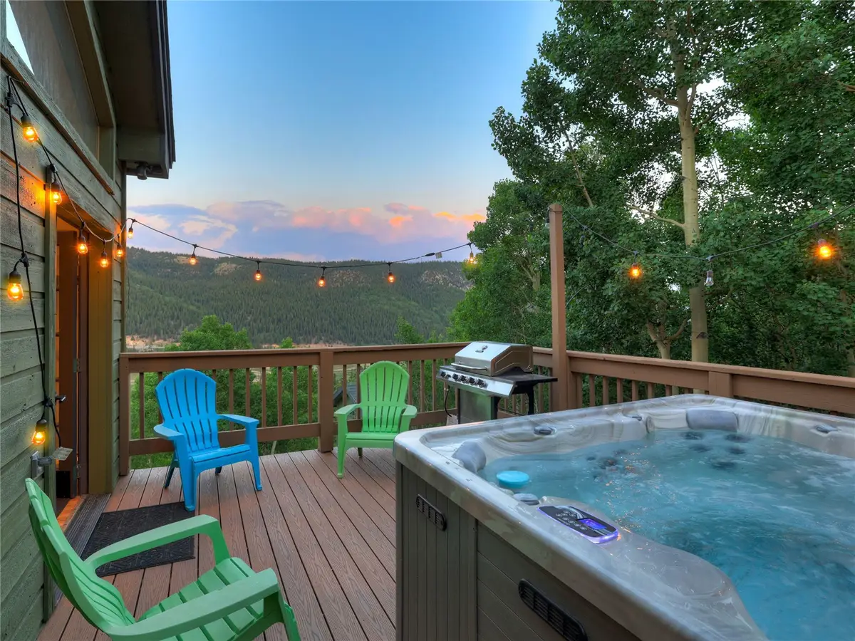 1095 Quartzville Road, Alma, CO 80440 - #1