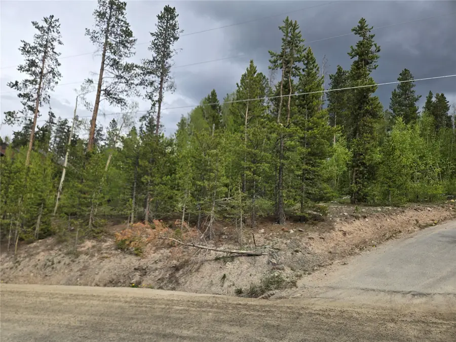 1299 American Way, Breckenridge, CO 80424 - #2