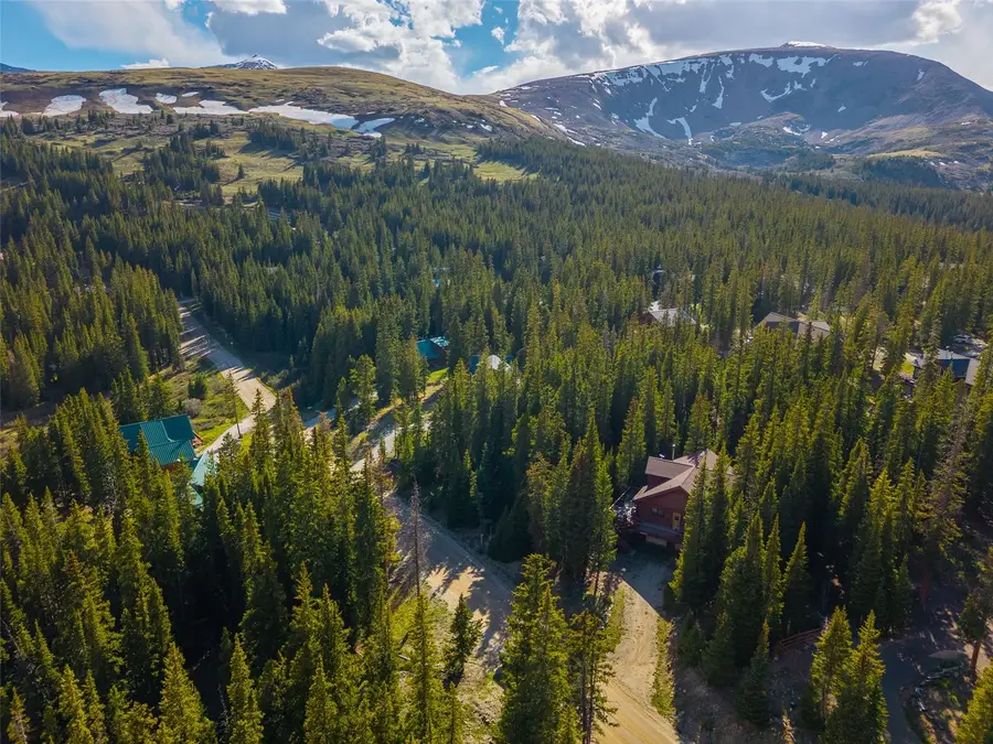 233 Camron Lane, Breckenridge, CO 80424 - #2