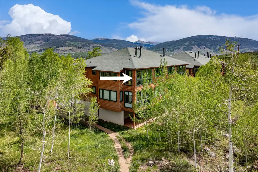 454 Salt Lick Circle #454, Silverthorne, CO 80498 - #2