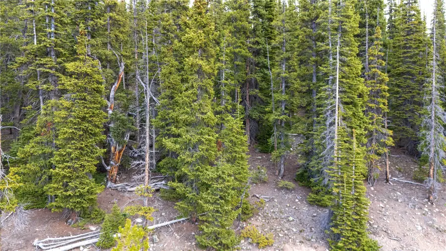 301 Kimmes Lane, Breckenridge, CO 80424 - #3