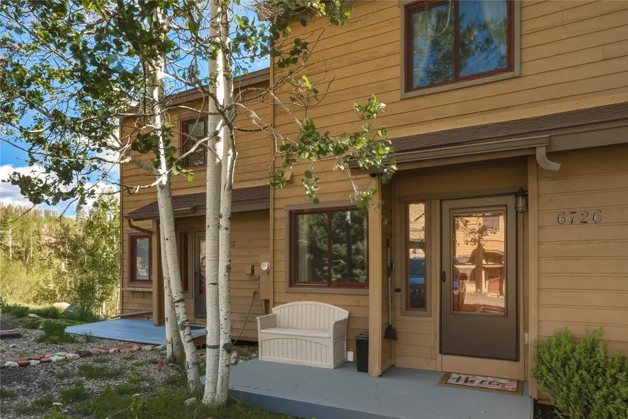 6726 Ryan Gulch Road #6726, Wildernest, CO 80498 - #3