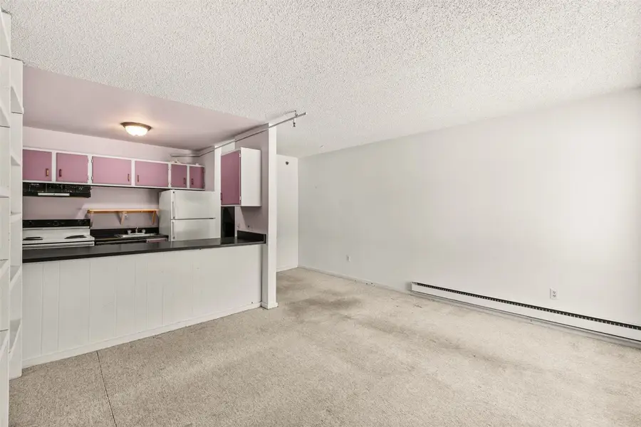 110 S Park Avenue #106, Breckenridge, CO 80424 - #2