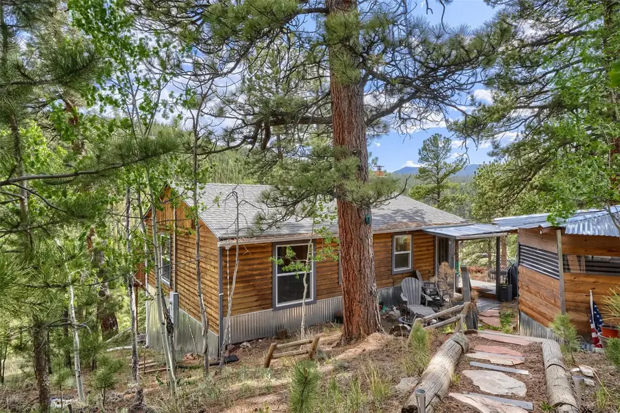 226 Hall Road, Bailey, CO 80421 - #2