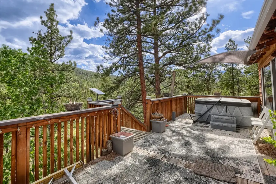 226 Hall Road, Bailey, CO 80421 - #3