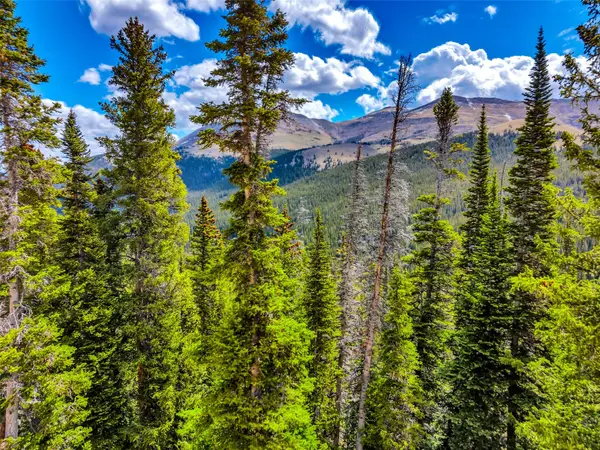 105 & 71 Quandary View, Breckenridge, CO 80424