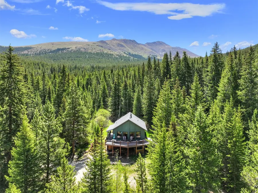 506 Cnty Rd 528, Breckenridge, CO 80424 - #2