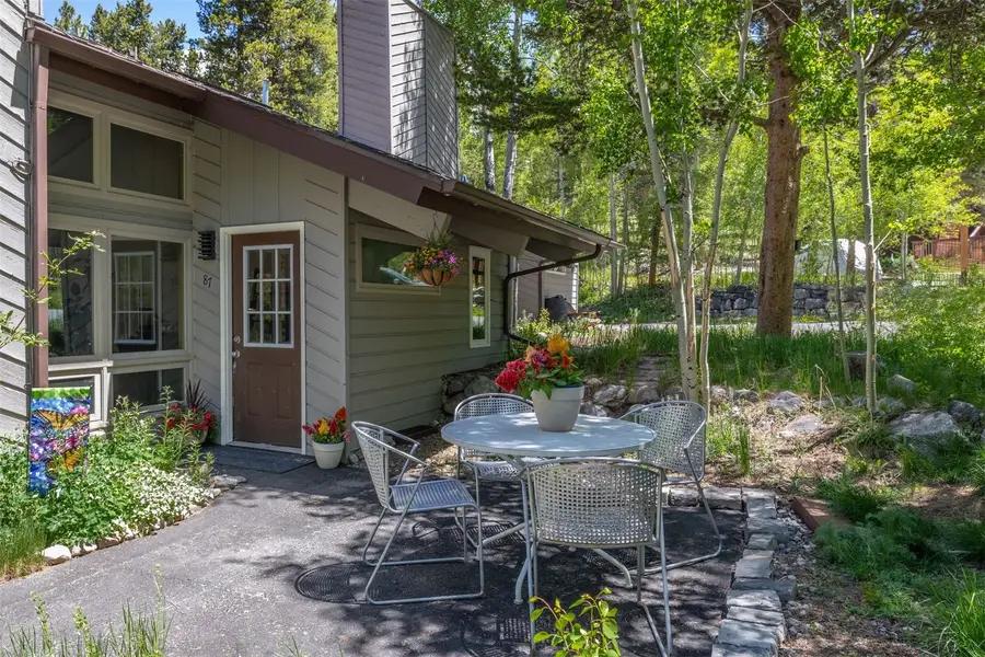 87 Flintstone Lane, Breckenridge, CO 80424 - #2