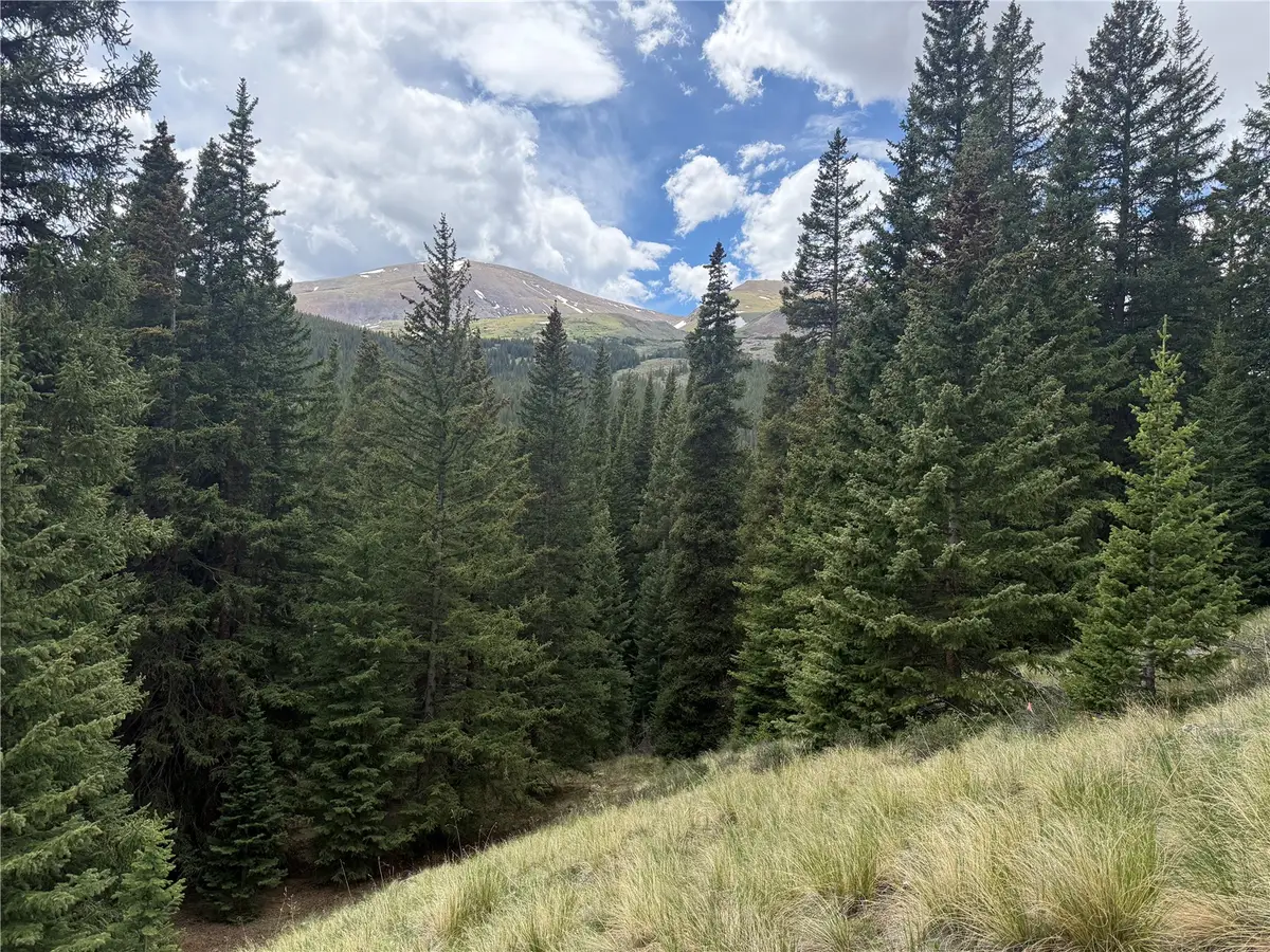 1081 Nuthatch Drive, Alma, CO 80420 - #1