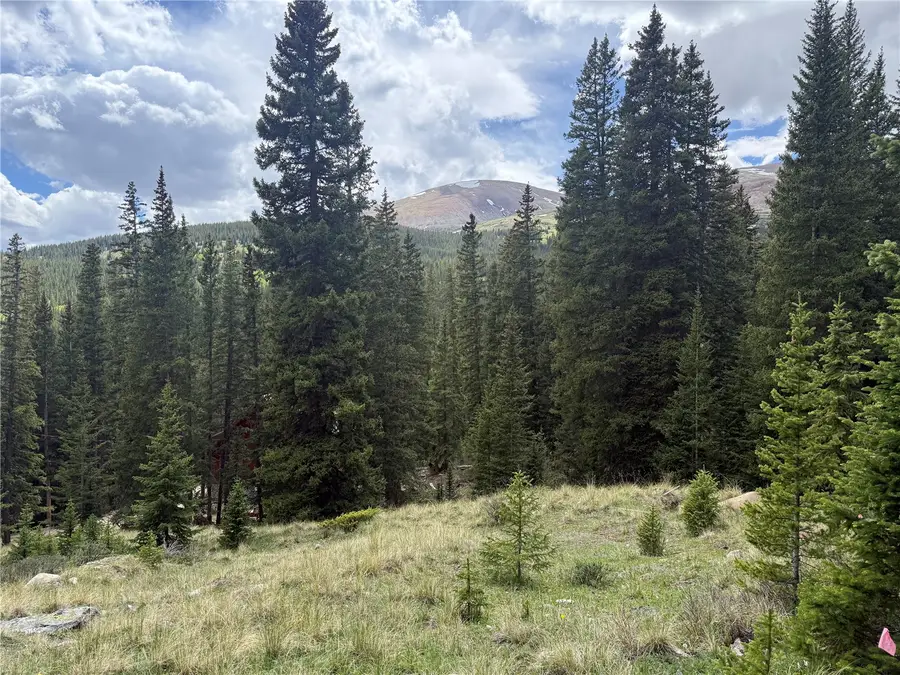 1081 Nuthatch Drive, Alma, CO 80420 - #3
