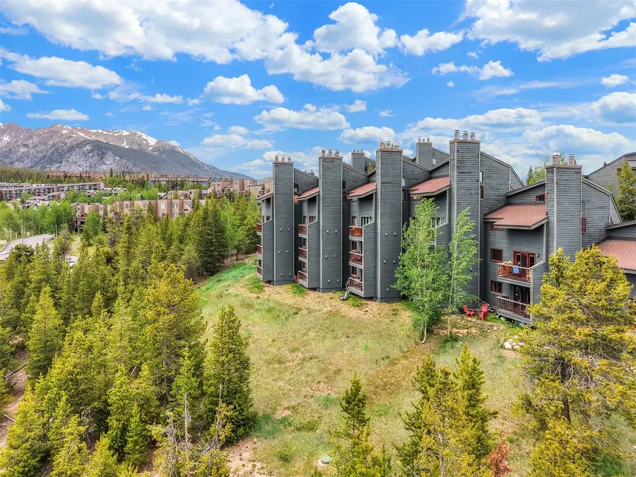 9460 Ryan Gulch Road #61, Silverthorne, CO 80498 - #3