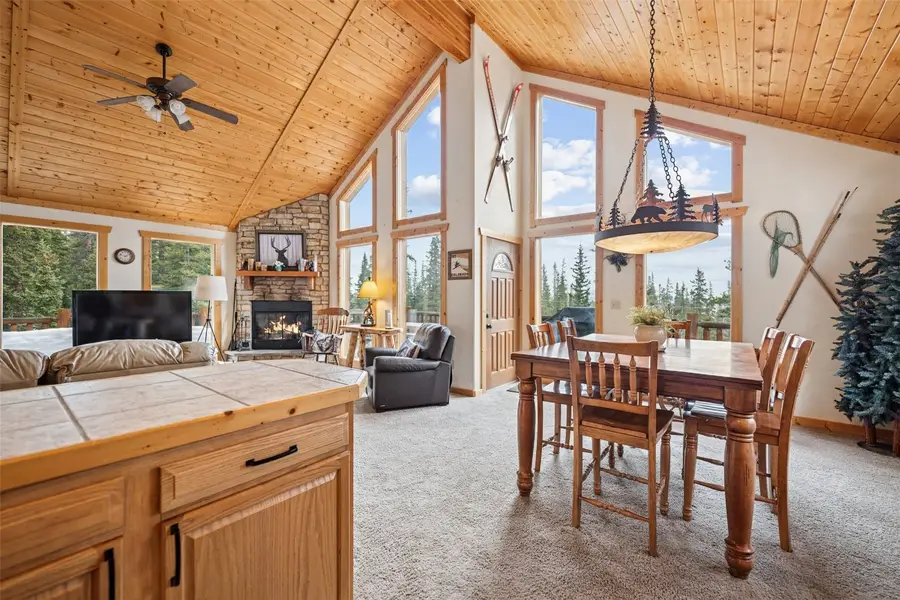 585 Miners Way, Fairplay, CO 80440 - #3