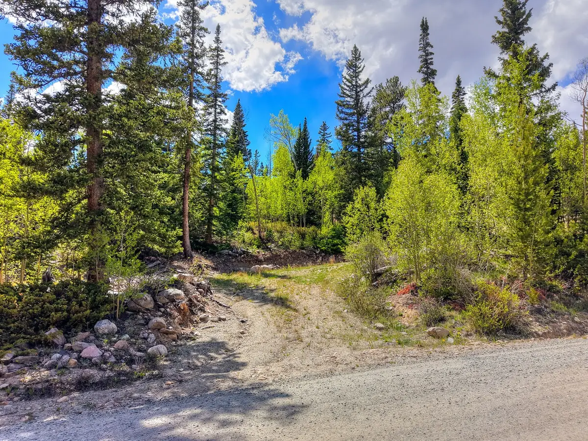 253 Mine Dump Road, Alma, CO 80440 - #1