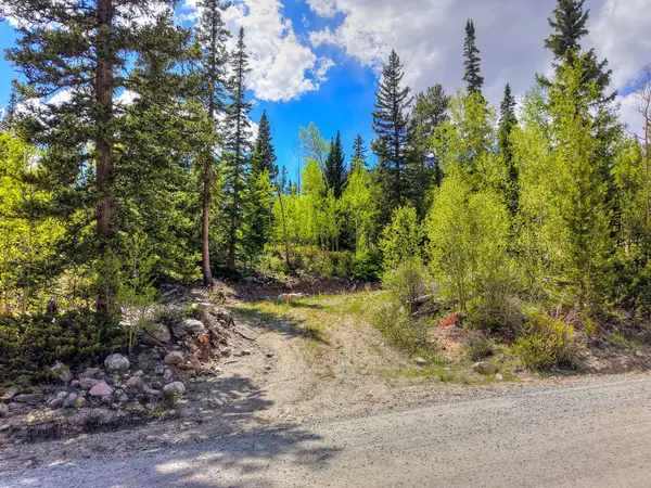 253 Mine Dump Road, Alma, CO 80440