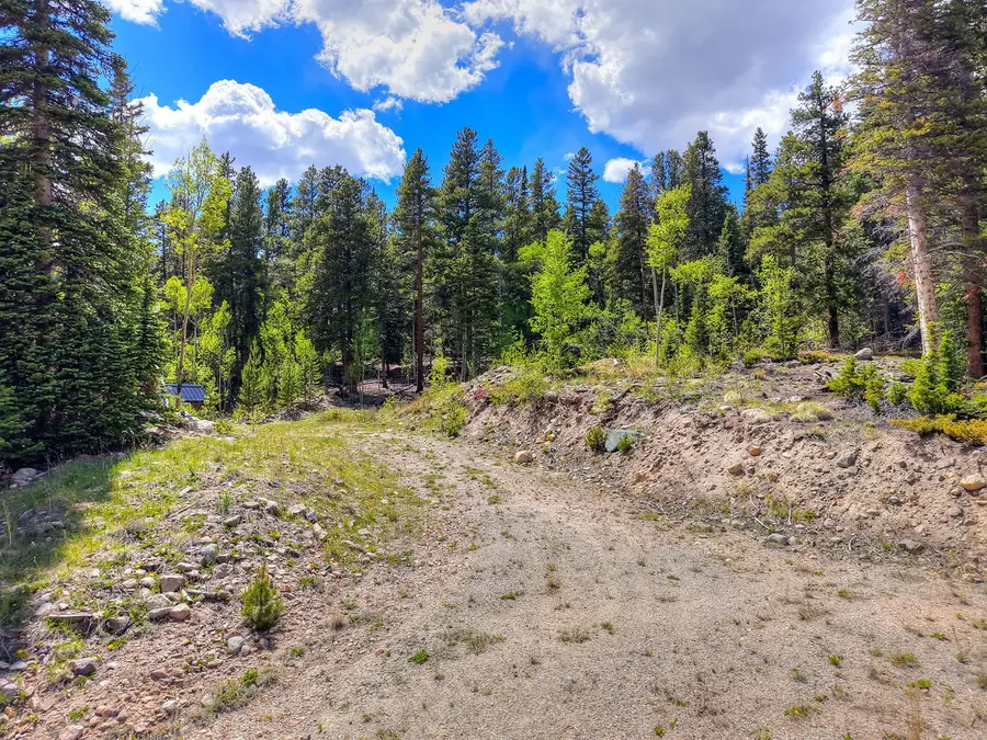 253 Mine Dump Road, Alma, CO 80440 - #3
