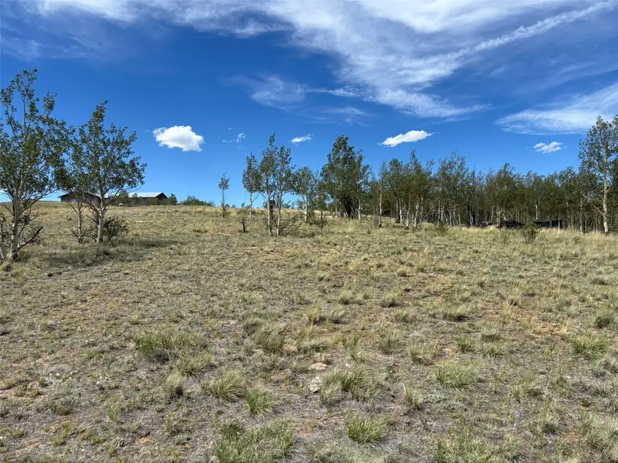 135 Hawk Way, Como, CO 80432 - #2