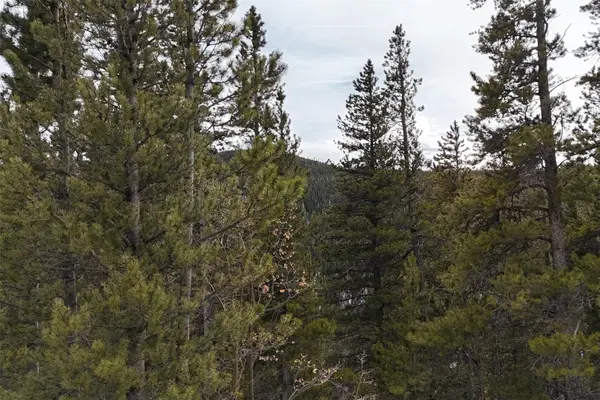 649 Vista Road, Idaho Springs, CO 80452