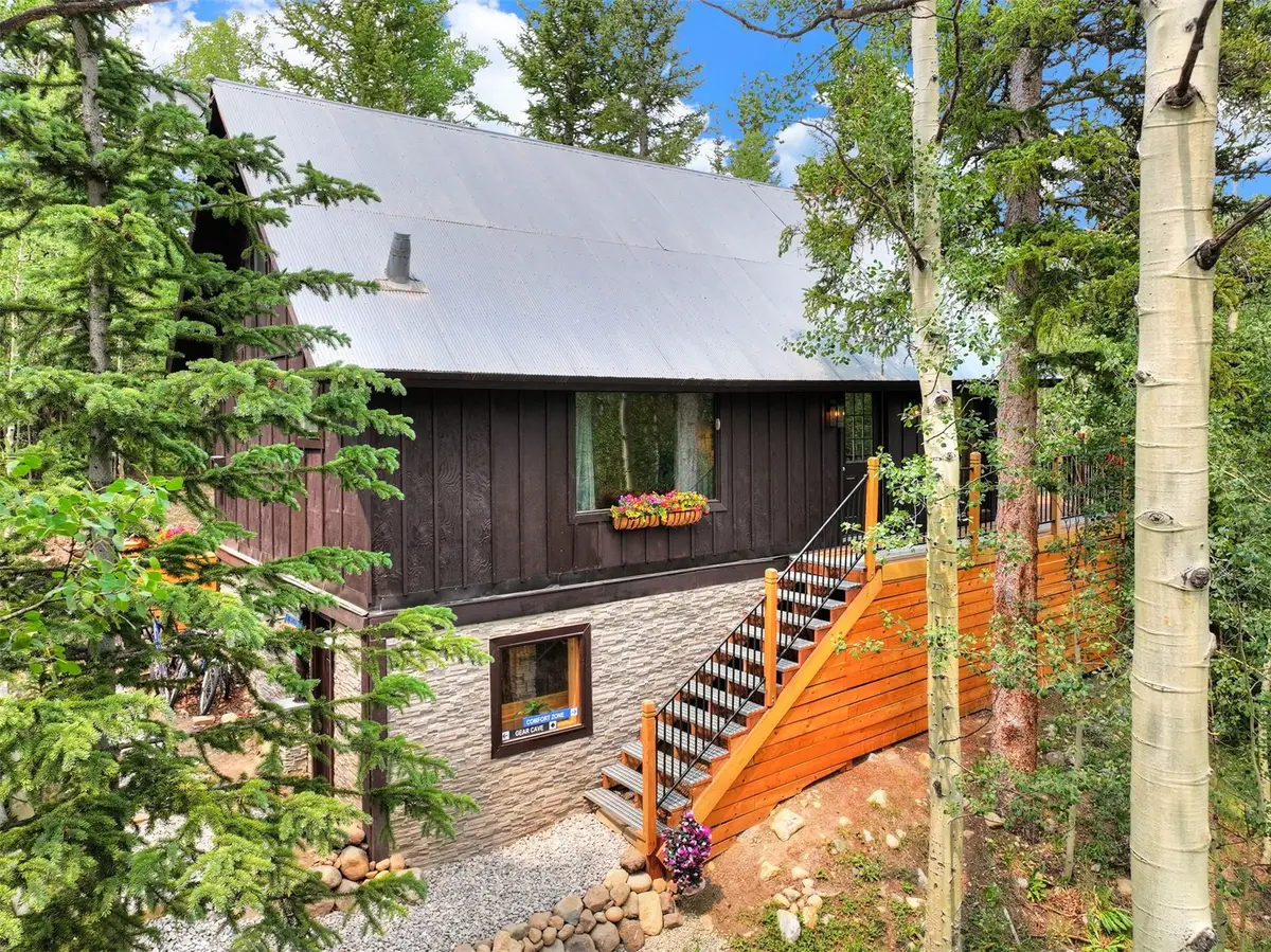 227 Roberts Road, Alma, CO 80420 - #1