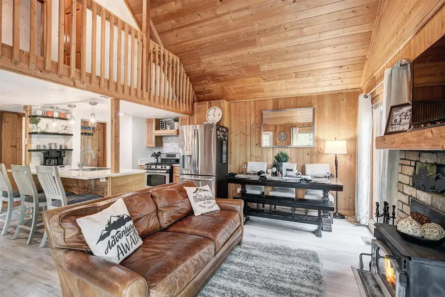 227 Roberts Road, Alma, CO 80420 - #3