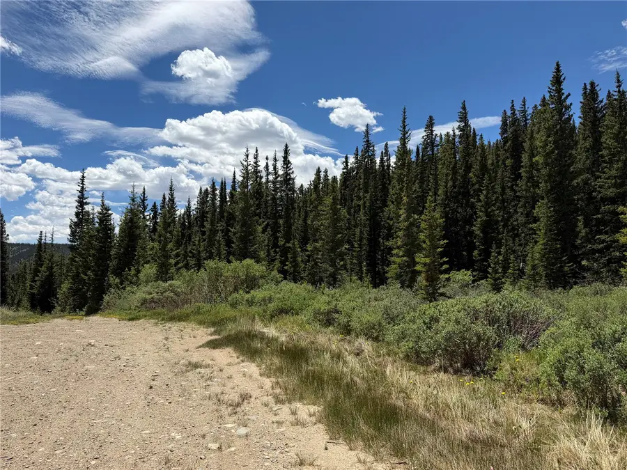 0 Cliff's Way, Alma, CO 80420 - #3