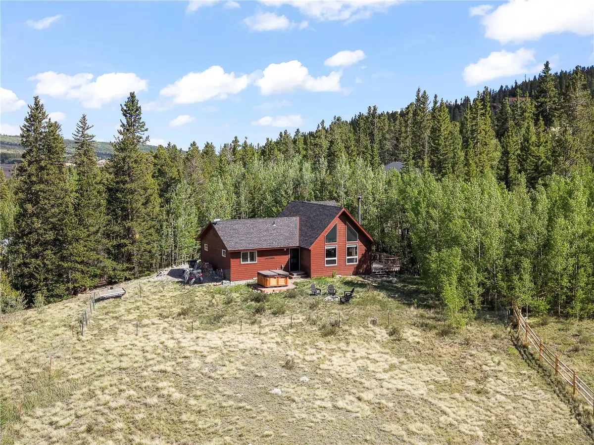 1 Mercury Hill Drive, Alma, CO 80420 - #1