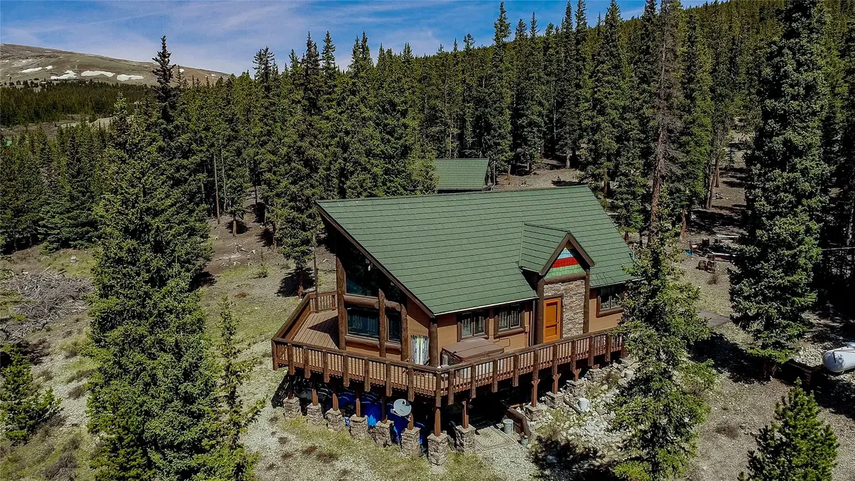 36 Silk Sisters Place, Fairplay, CO 80440 - #1