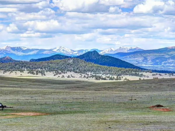 100 High Dr, Hartsel, CO 80449