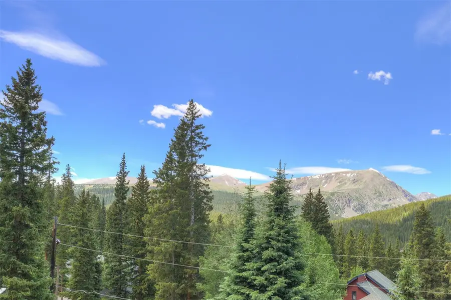 621 Doris Drive, Breckenridge, CO 80424 - #3