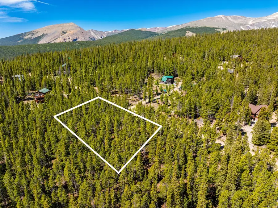 132 Gold Trail Circle, Fairplay, CO 80440 - #3