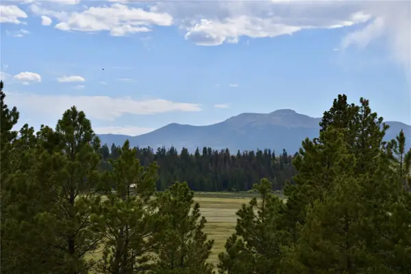 3437 Redhill Road, Fairplay, CO 80440