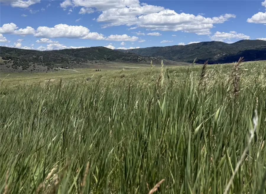 00000 Rcr 56, Steamboat Springs, CO 80487 - #3