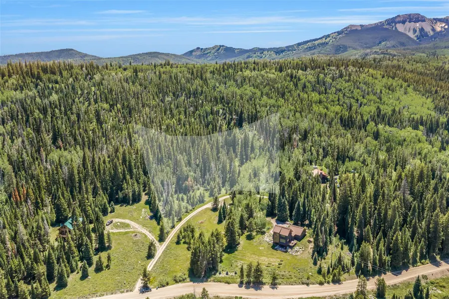 23175 Windward Lane, Clark, CO 80428 - #3