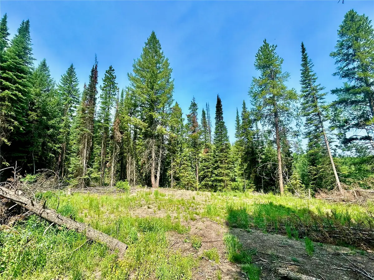 Lot 38 Colt Trail, Oak Creek, CO 80467 - #1