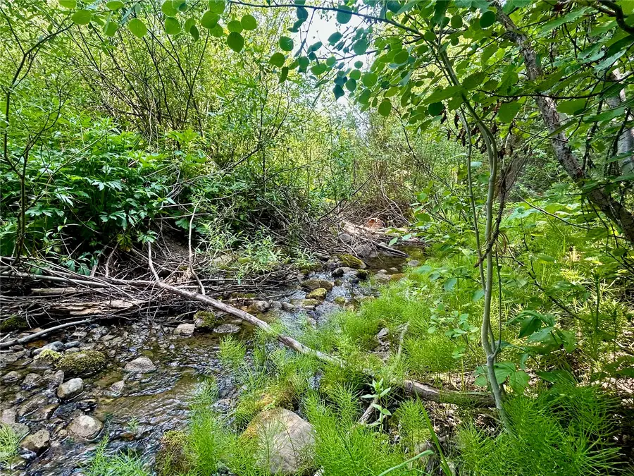 Lot 38 Colt Trail, Oak Creek, CO 80467 - #2