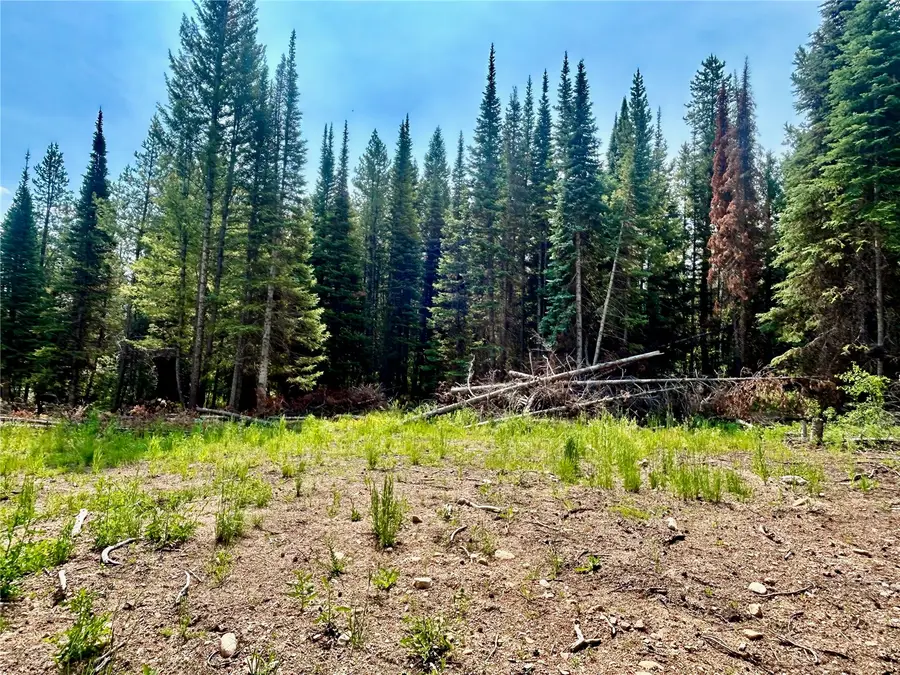 Lot 38 Colt Trail, Oak Creek, CO 80467 - #3