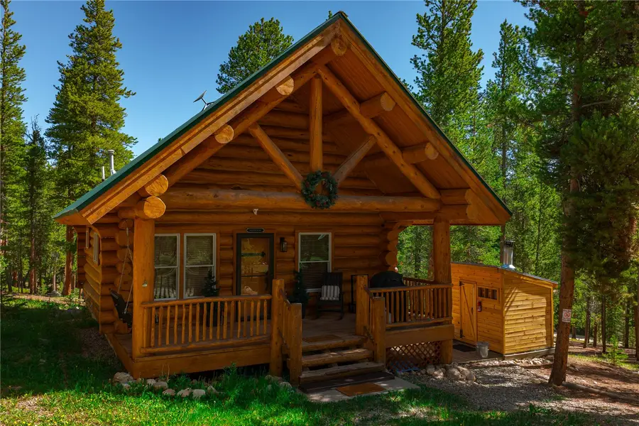 324 Ski Doo Road, Fairplay, CO 80440 - #3
