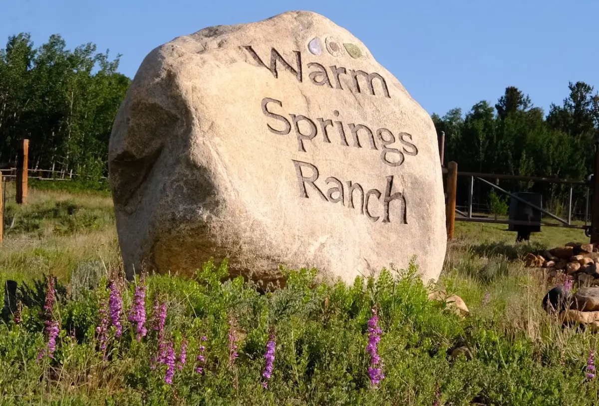 1077 Sheep Ridge Road, Fairplay, CO 80440 - #1