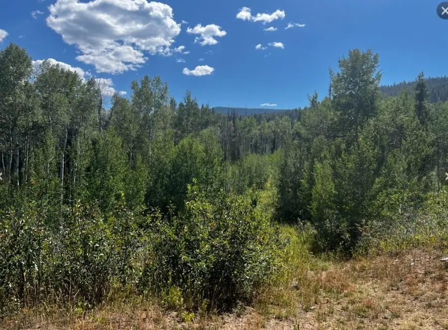 5 Lots on Shay Way, Oak Creek, CO 80467 - #2