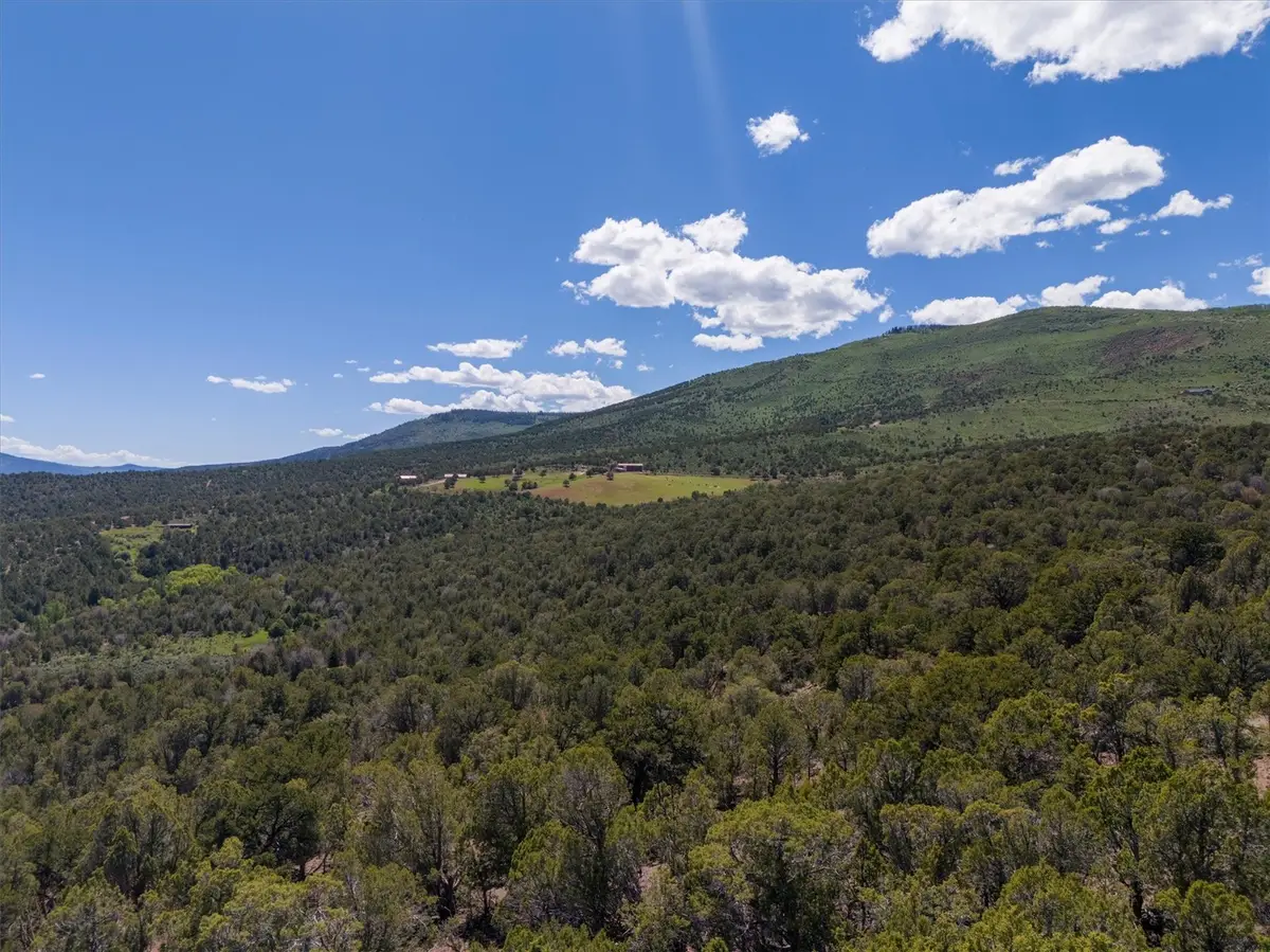 2435-2945 Co 131, McCoy, CO 81657 - #1