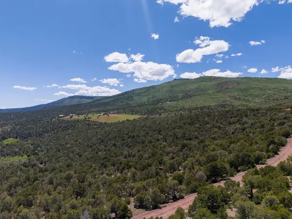 2435-2945 Co-131, McCoy, CO 80479