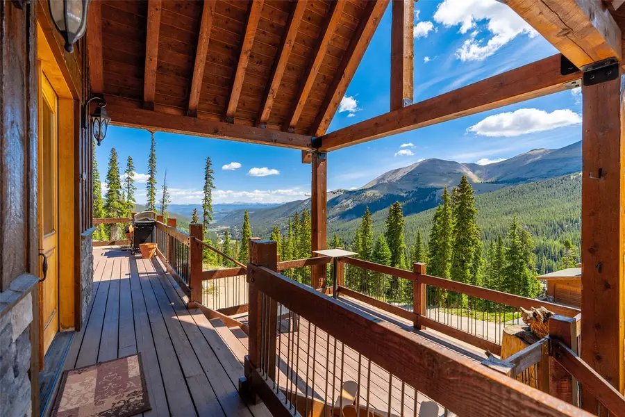 363 Carroll Lane, Breckenridge, CO 80424 - #2