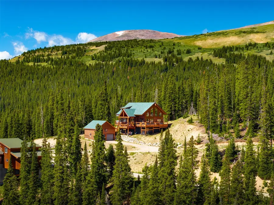 363 Carroll Lane, Breckenridge, CO 80424 - #3